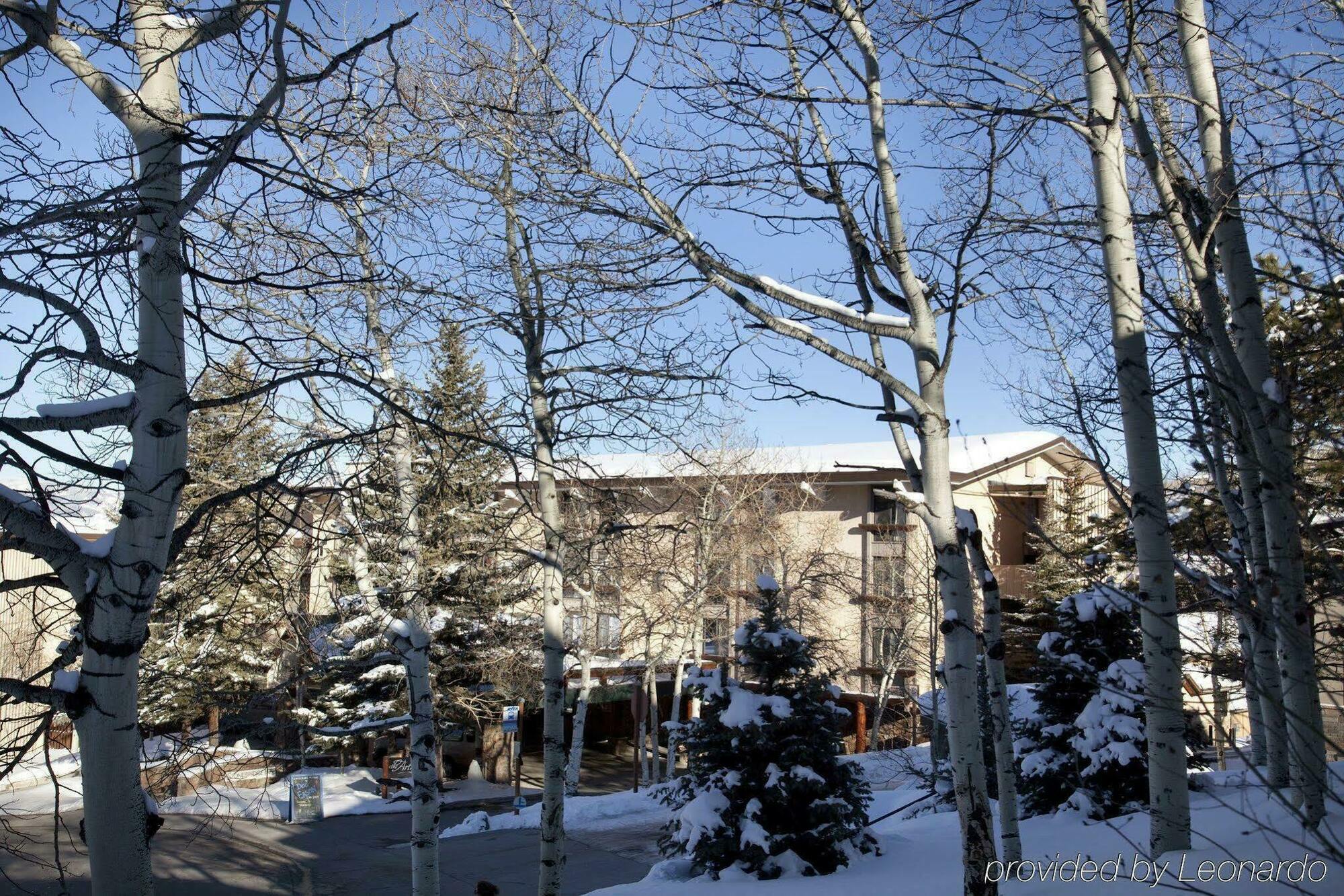Tamarack Townhomes - Coraltree Residence Collection Snowmass Village Eksteriør billede